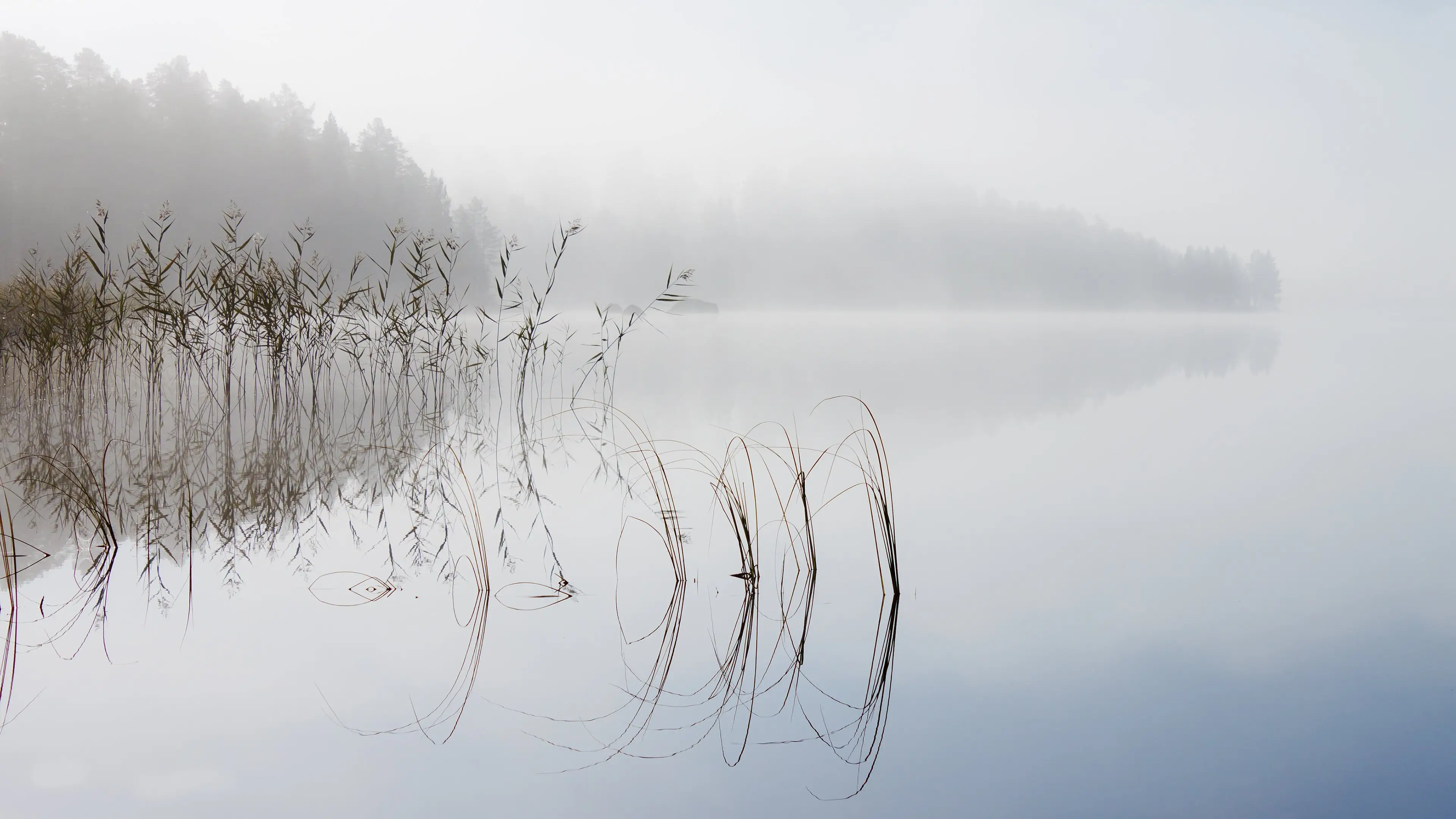 結(jié)婚祝福語大全,結(jié)婚祝福語怎么說