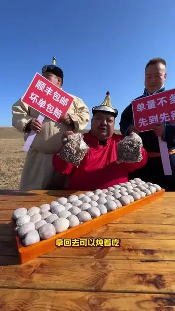 這個雙十一，史無前例的活動力度，下午不見不散！