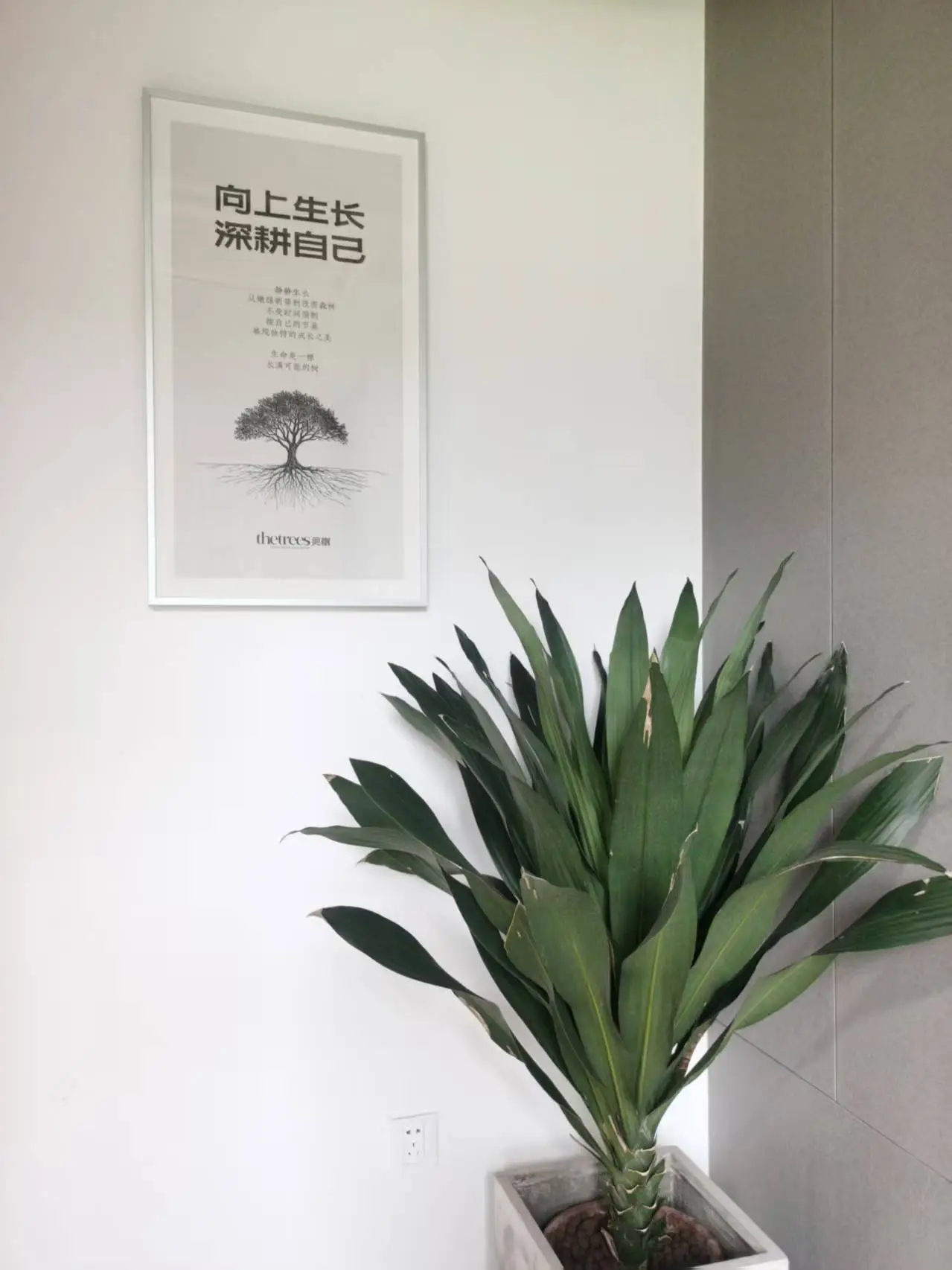 專業(yè)包裝設(shè)計(jì)公司推薦，保健品包裝設(shè)計(jì)優(yōu)選之選