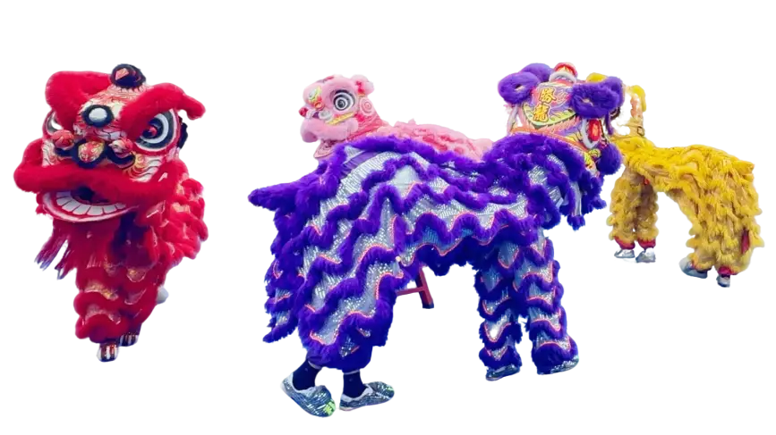 一連三天！禮品豐富，送、送、送......“我在清遠(yuǎn)過大年”迎春花市4大活動攻略→